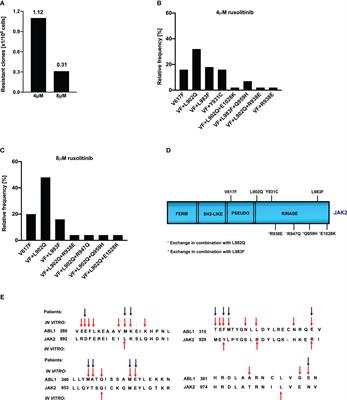 Type II mode of JAK2 inhibition and destabilization are potential therapeutic approaches against the ruxolitinib resistance driven myeloproliferative neoplasms